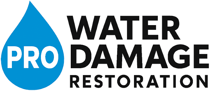 Pro Water Damage Restoration