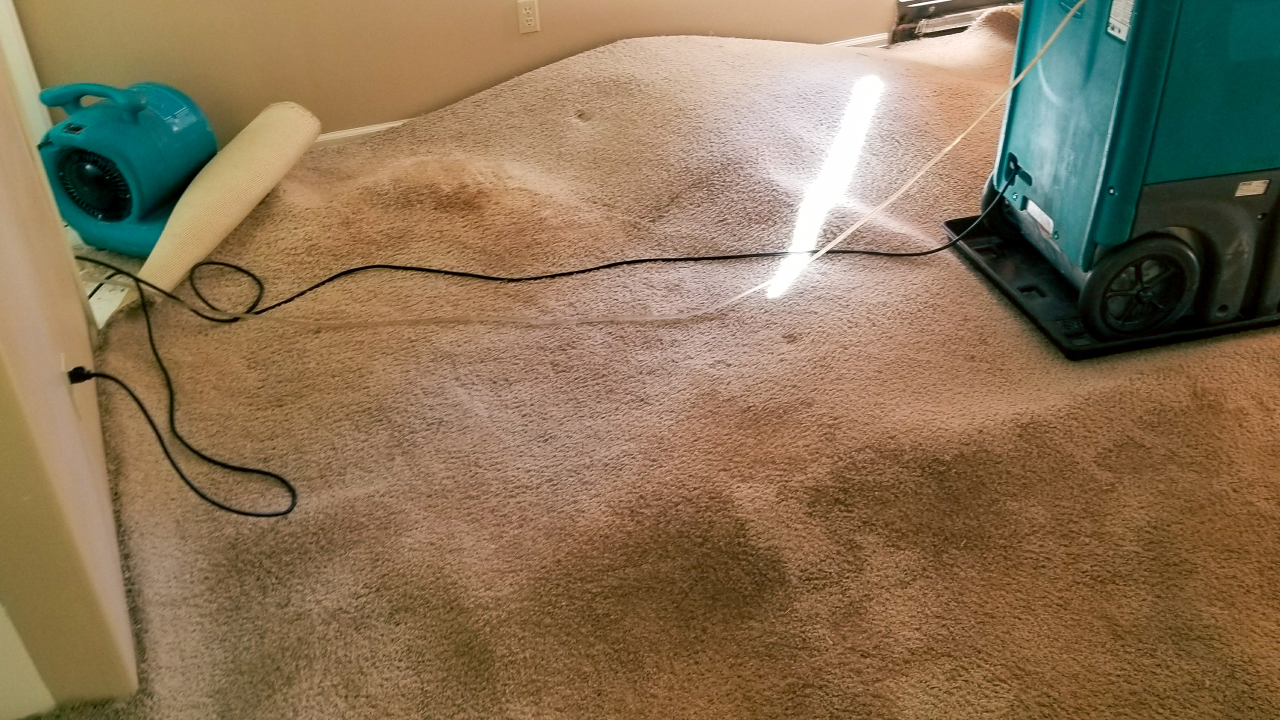 water damage restoration hollywood, fl